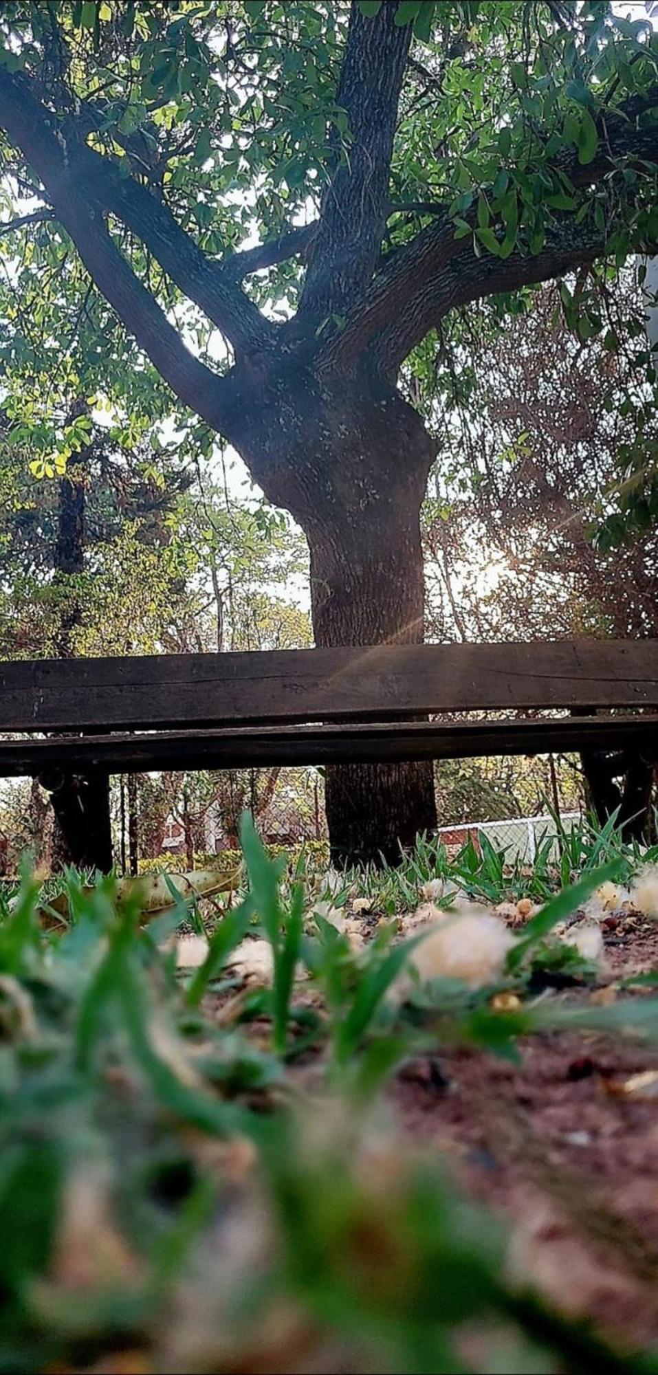 Pousada Chacara Kioski Brotas Esterno foto